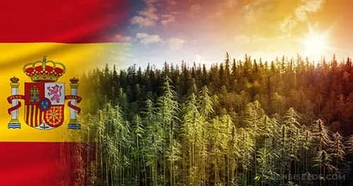 cbd marihuana legal espana