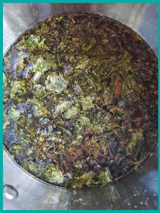 como se hace el aceite de maria