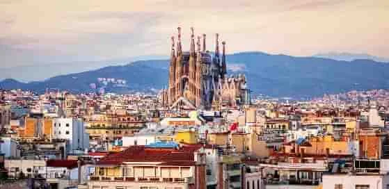 Comprar cogollos cannabis barcelona