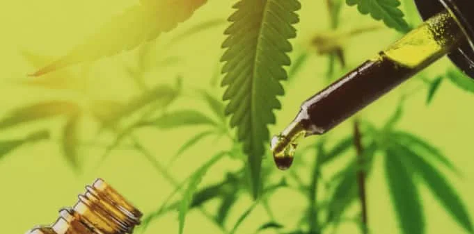 efectos cannabidiol