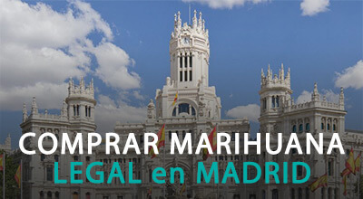 COMPRAR MARIHUANA LEGAL EN MADRID