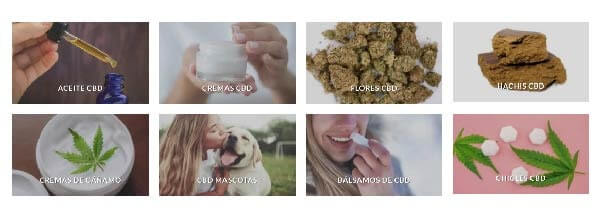 categorias de productos afiliados cannabis