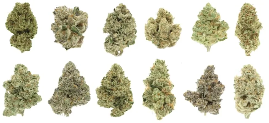 comprar marihuana medicinal