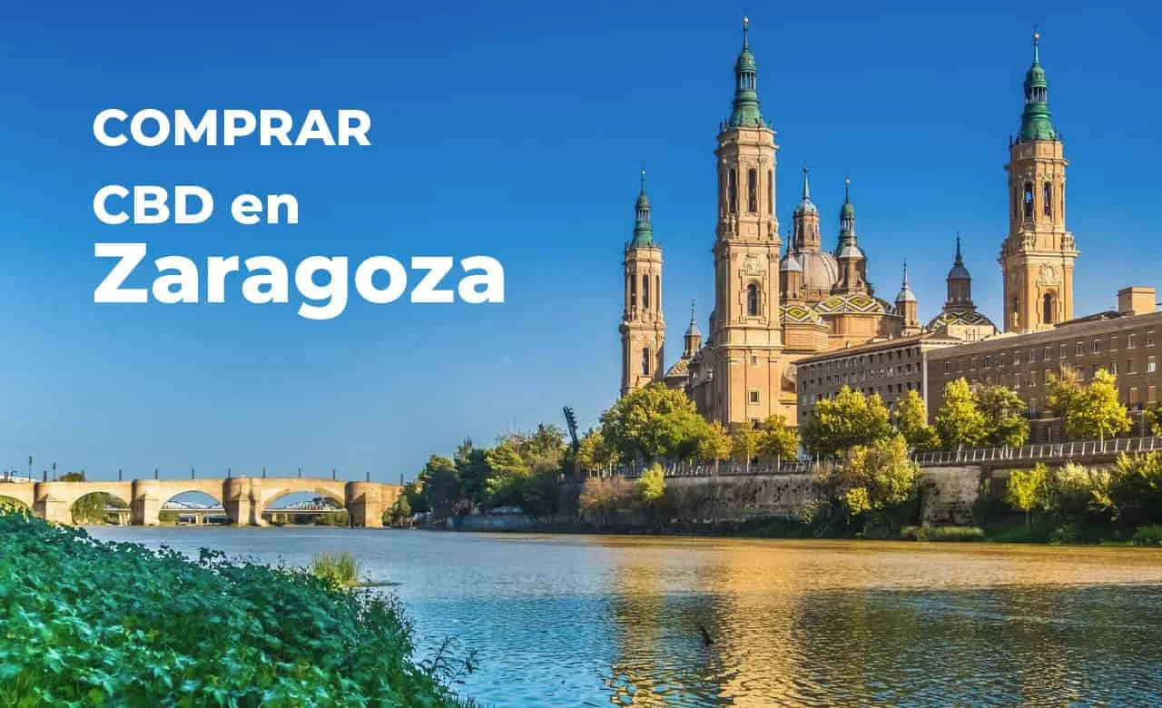 cbd zaragoza comprar