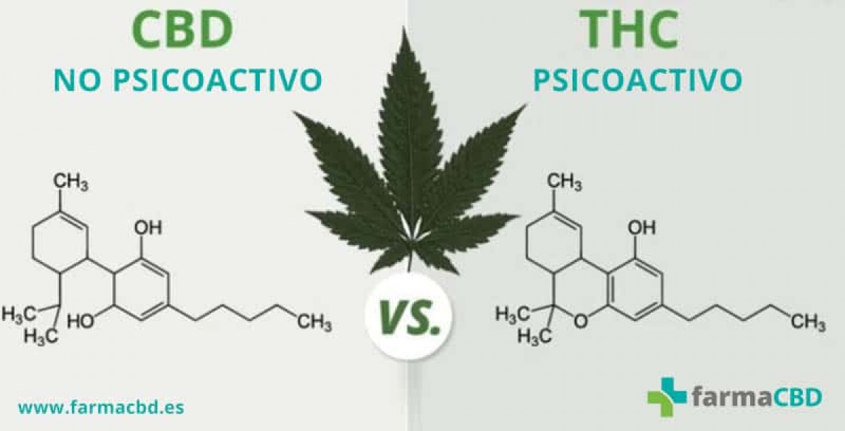 DIFERENCIAS Entre El CBD Y El THC | Farma CBD