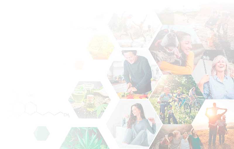 Farma CBD Onlin