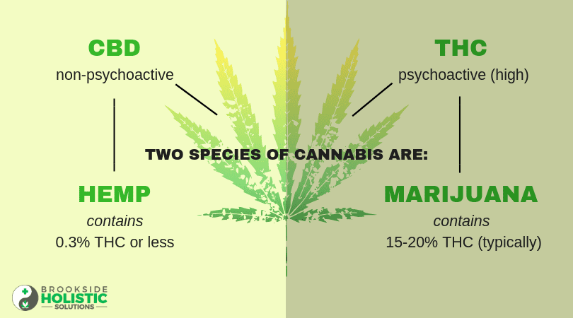 DIFERENCIAS Entre El CBD Y El THC - Farma CBD