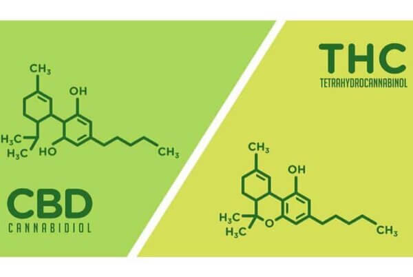 DIFERENCIAS Entre El CBD Y El THC | Farma CBD