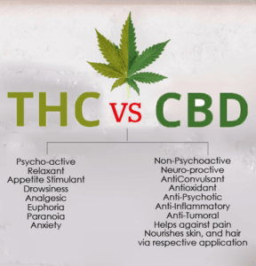 DIFERENCIAS Entre El CBD Y El THC | Farma CBD