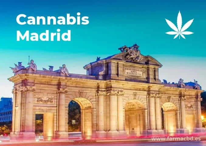 cannabis medicinal madrid