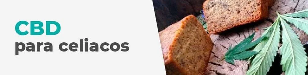 cannabidiol celiacos