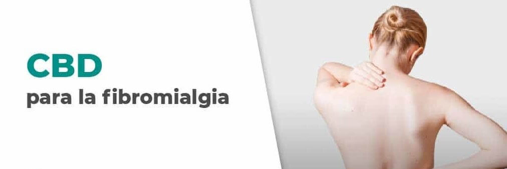 cannabidiol fibromialgia