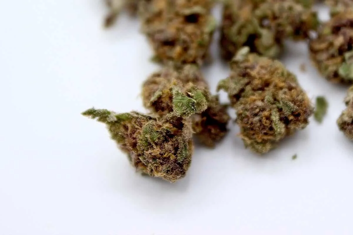 aceite marihuana casero