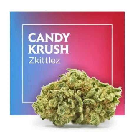 Cannactiva - Marca líder de CBD en España
