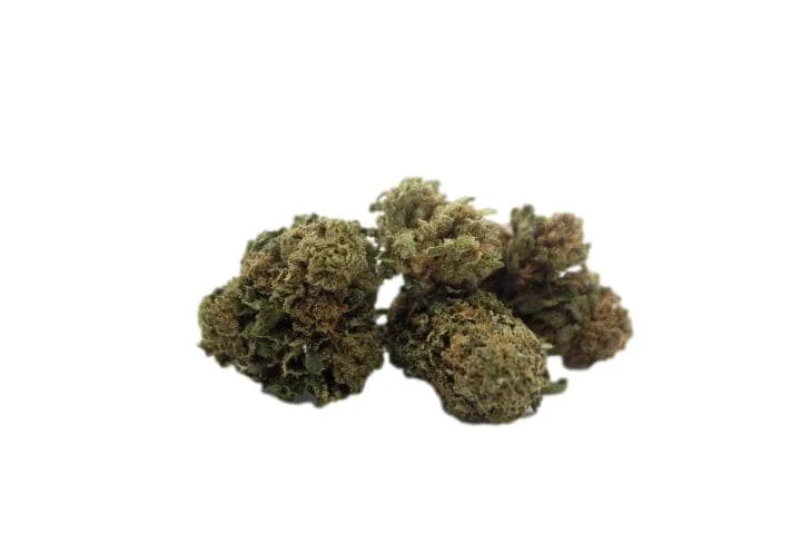 Cannactiva Meditate