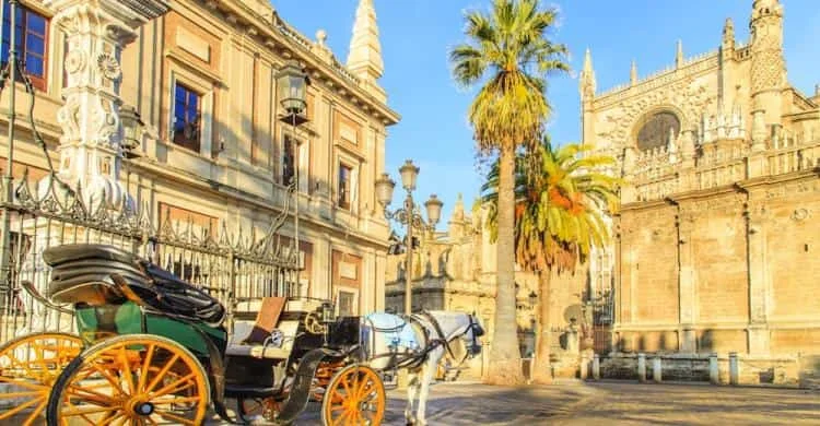 Comprar Marihuana Legal Sevilla