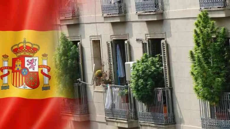 Comprar Marihuana Legal Sevilla cannabidiol