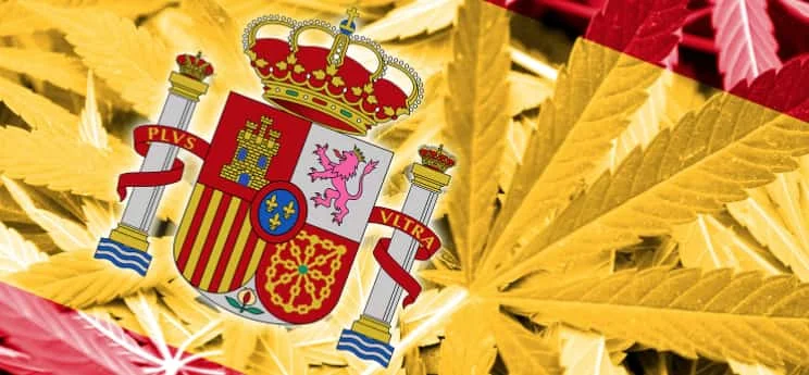 CBD en España