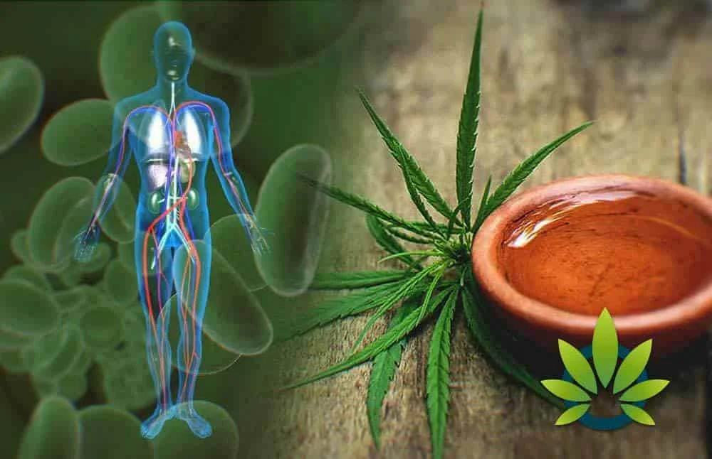 cannabidiol efectos secundarios tiene