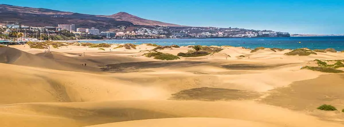 cbd canarias comprar