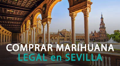 COMPRAR MARIHUANA LEGAL EN SEVILLA