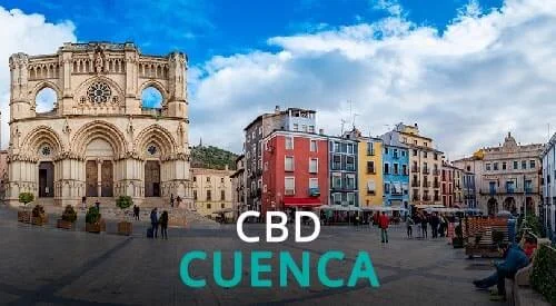 CBD CUENCA