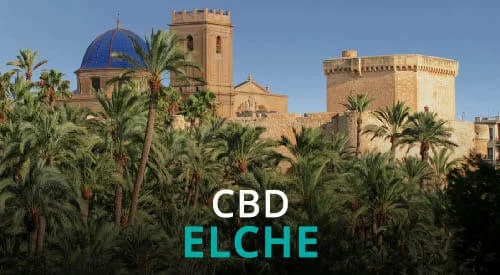 CBD Elche