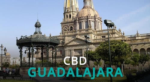 CBD GUADALAJARA cannabis