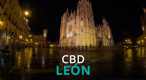 CBD Leon