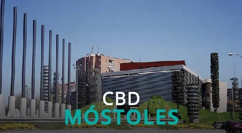 CBD MOSTOLES