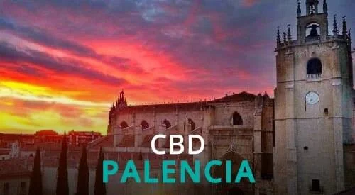 CBD PALENCIA