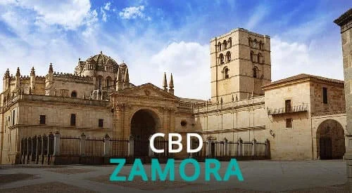CBD ZAMORA