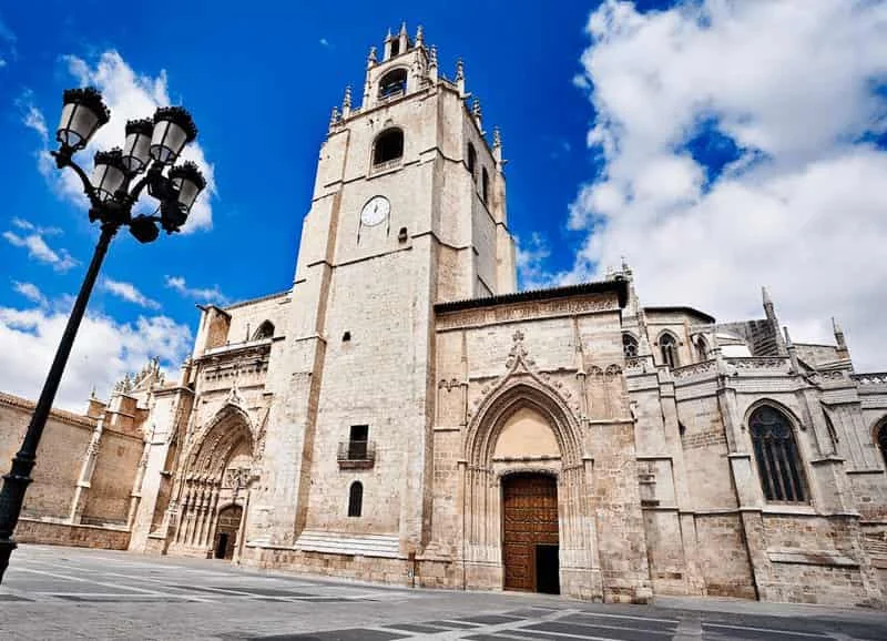 Palencia cannabidiol