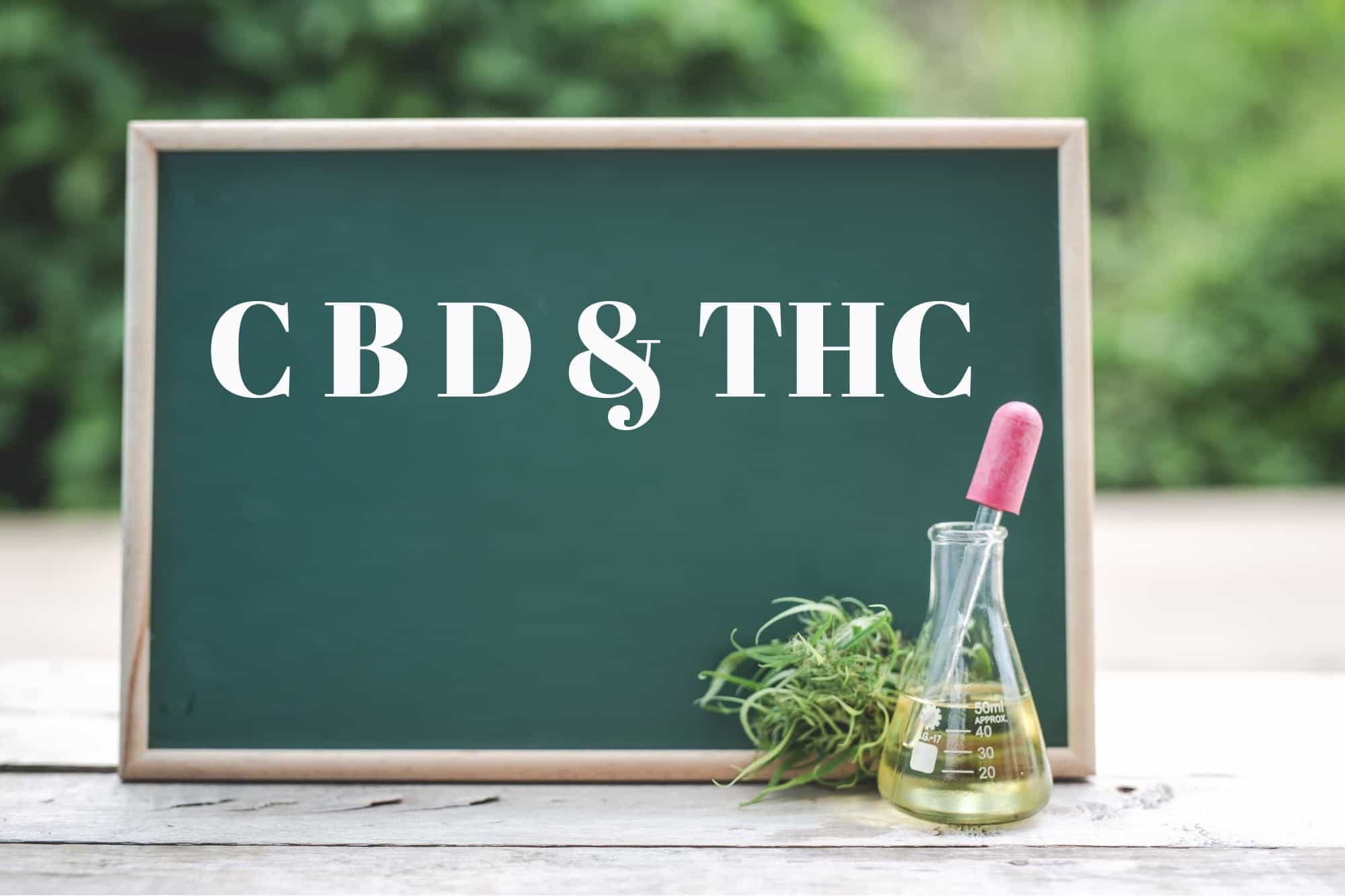 ¿Cuáles Son Las Diferencias Entre El CBD Y El THC? ⭐ Farma CBD