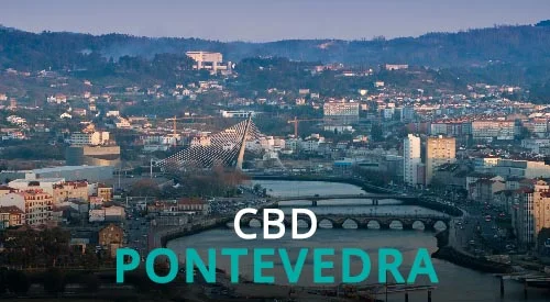 cbd pontevedra comprar