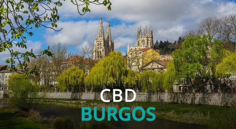 CBD Burgos