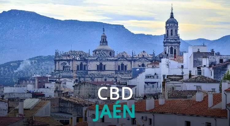 CBD Jaén
