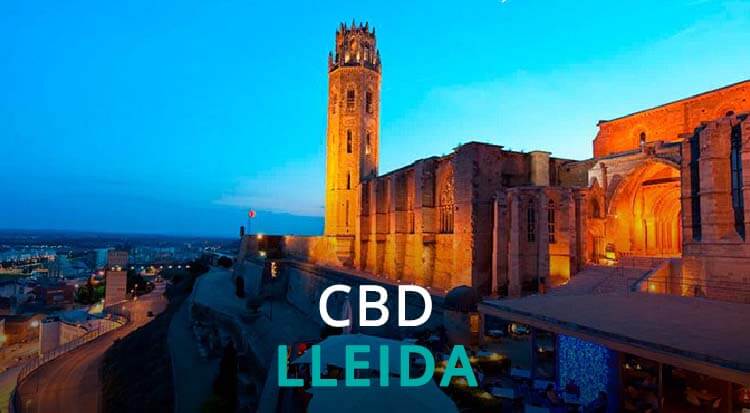 CBD Lleida