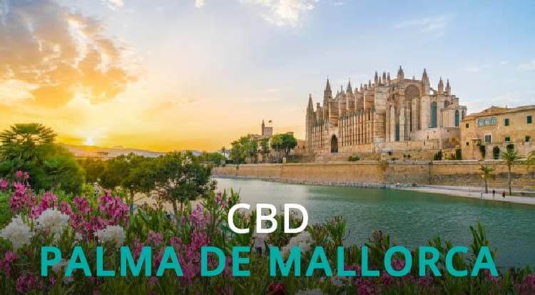 CBD Palma de Mallorca