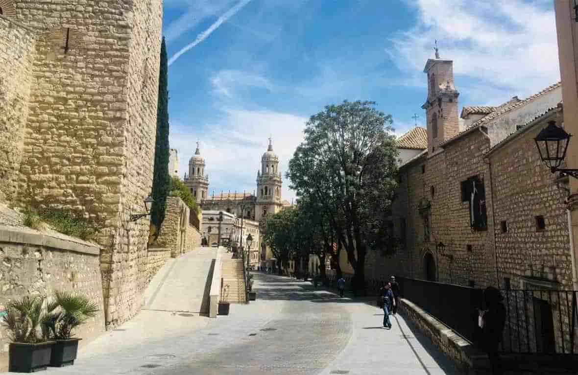 Jaen tienda cannabidiol
