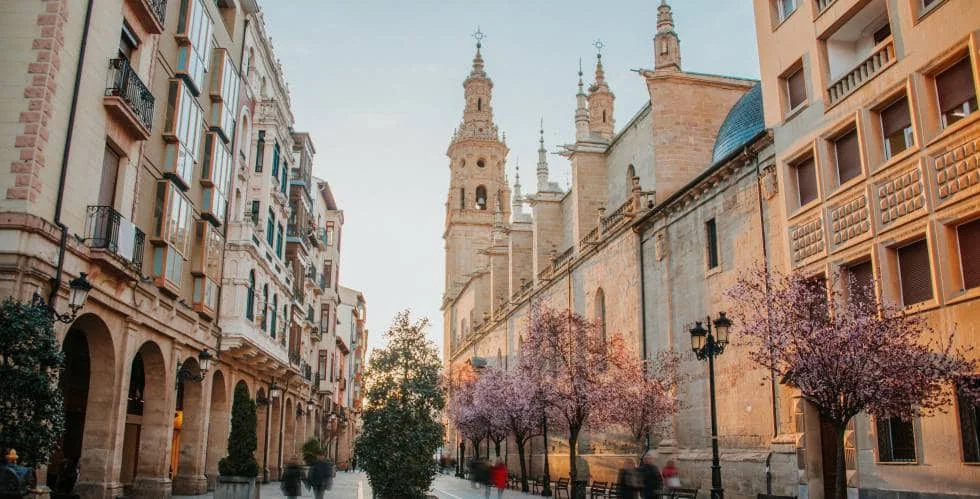 Logrono cannabidiol