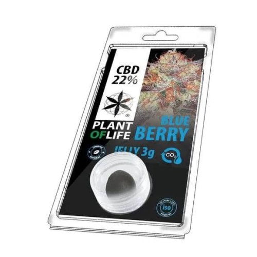Blueberry Hachis con CBD 22% Jelly Plant of Life