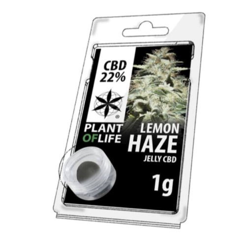 Lemon Haze Hachis con CBD 22% Jelly Plant of Life 3