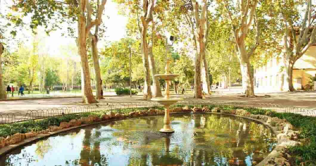 Cornella de Llobregat cannabidiol