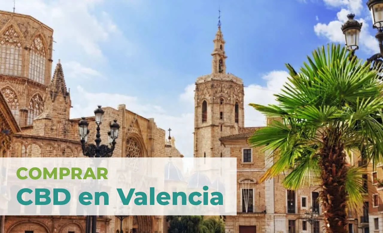 comprar cannabis cbd valencia