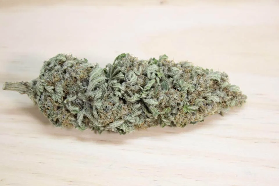 variedades cbd legales europa