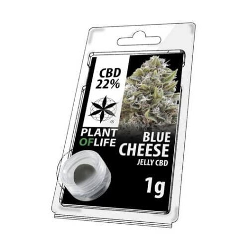 Hachis CBD Blue Cheese 10% Solido 1 gr