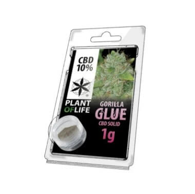 Hachis CBD Gorila Glue 10% solido 1 gr