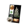 Hachis Gorila Glue 3,8% CBD Solido 1 gr