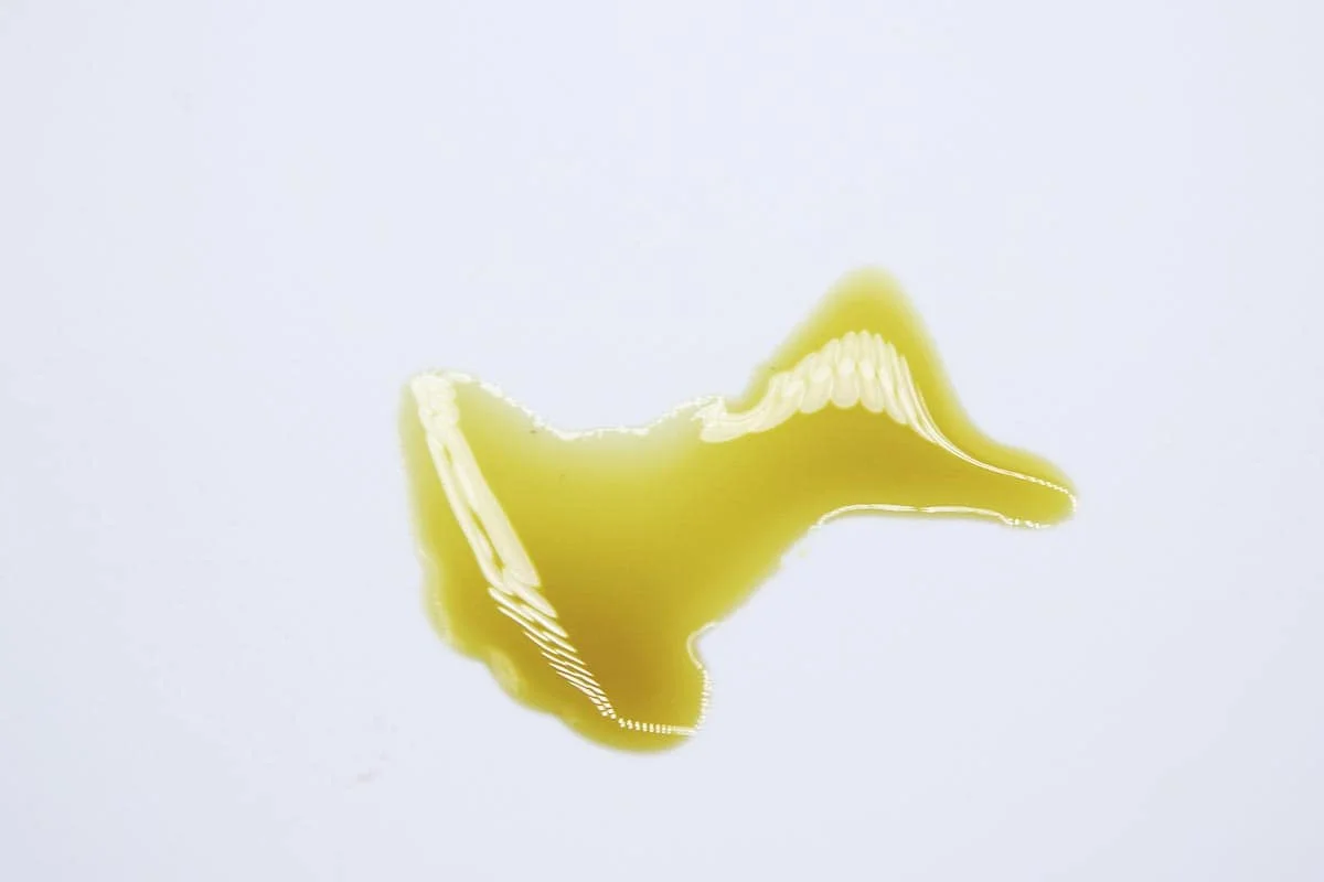 cuanto dura efecto aceite cbd